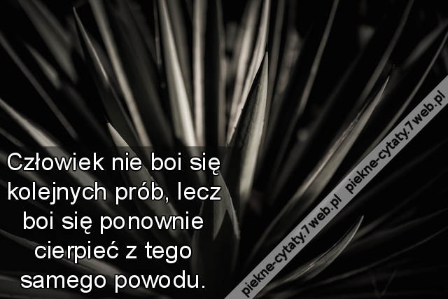 Człowiek nie boi się kolejnych prób, lecz boi się ponownie cierpieć z tego samego powodu.