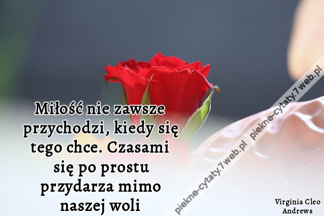 Miłość nie zawsze przychodzi, kiedy się tego chce. Czasami się po prostu przydarza mimo naszej woli