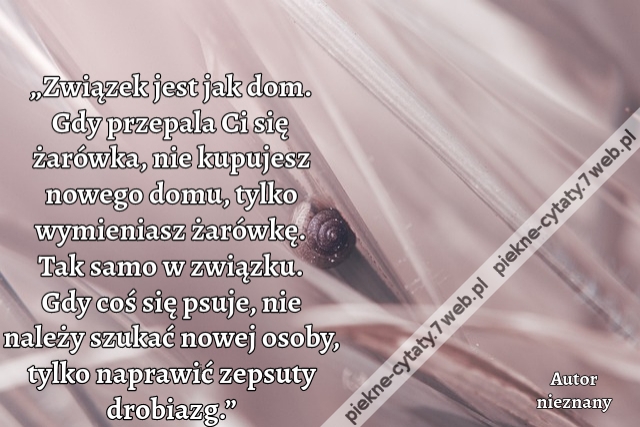 „Związek jest jak dom. Gdy przepala Ci się żarówka, nie kupujesz nowego domu, tylko wymieniasz żarówkę. Tak samo w związku. Gdy coś się psuje, nie należy szukać nowej osoby, tylko naprawić zepsuty drobiazg.”