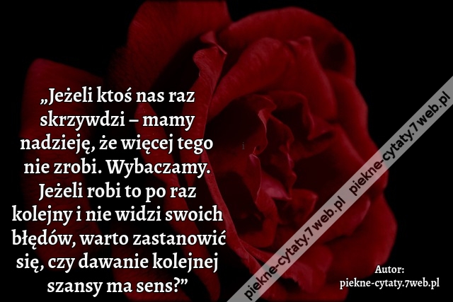 „Jeżeli ktoś nas raz skrzywdzi – mamy nadzieję, że więcej tego nie zrobi. Wybaczamy. Jeżeli robi to po raz kolejny i nie widzi swoich błędów, warto zastanowić się, czy dawanie kolejnej szansy ma sens?”
