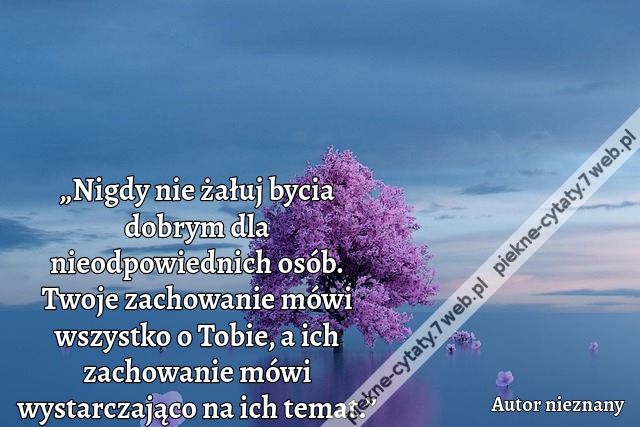 „Nigdy nie żałuj bycia dobrym dla nieodpowiednich osób. Twoje zachowanie mówi wszystko o Tobie, a ich zachowanie mówi wystarczająco na ich temat.”
