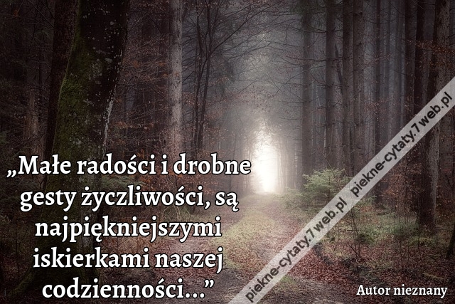 „Małe radości i drobne gesty życzliwości, są najpiękniejszymi iskierkami naszej codzienności...”