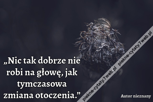 „Nic tak dobrze nie robi na głowę, jak tymczasowa zmiana otoczenia.”