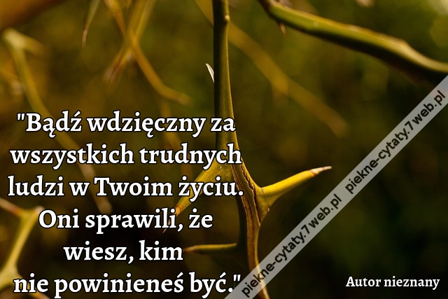 Bądź wdzięczny za wszystkich trudnych ludzi w Twoim życiu. Oni sprawili, że wiesz, kim nie powinieneś być.