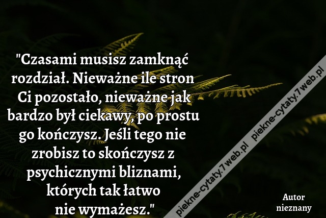 "Czasami musisz zamknąć rozdział. Nieważne ile stron Ci pozostało, nieważne jak bardzo był ciekawy, po prostu go kończysz. Jeśli tego nie zrobisz to skończysz z psychicznymi bliznami, których tak łatwo nie wymażesz."