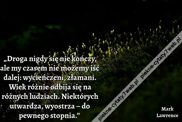 „Droga nigdy się nie kończy, ale my czasem nie możemy iść dalej: wycieńczeni, złamani. Wiek różnie odbija się na różnych ludziach. Niektórych utwardza, wyostrza – do pewnego stopnia.”