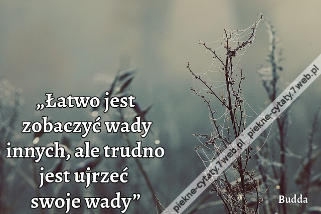 „Łatwo jest zobaczyć wady innych, ale trudno jest ujrzeć swoje wady”