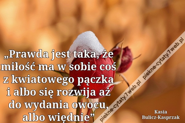 „Praw­da jest taka, że mi­łość ma w sobie coś z kwia­to­we­go pącz­ka i albo się roz­wi­ja aż do wy­da­nia owocu, albo więd­nie”