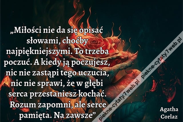 „Miłości nie da się opisać słowami, choćby najpiękniejszymi. To trzeba poczuć. A kiedy ją poczujesz, nic nie zastąpi tego uczucia, nic nie sprawi, że w głębi serca przestaniesz kochać. Rozum zapomni, ale serce pamięta. Na zawsze”