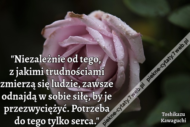 Niezależnie od tego, z jakimi trudnościami zmierzą się ludzie, zawsze odnajdą w sobie siłę, by je przezwyciężyć. Potrzeba do tego tylko serca.