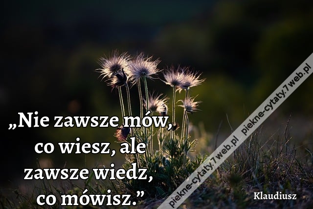 „Nie zawsze mów, co wiesz, ale zawsze wiedz, co mówisz.”