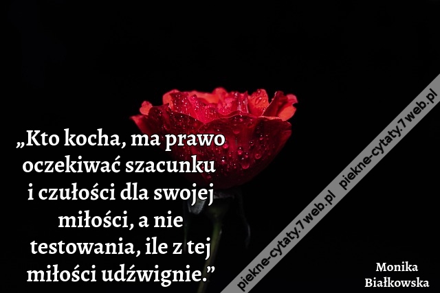„Kto kocha, ma prawo oczekiwać szacunku i czułości dla swojej miłości, a nie testowania, ile z tej miłości udźwignie.”
