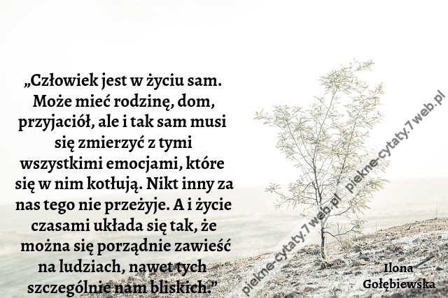 „Człowiek jest w życiu sam. Może mieć rodzinę, dom, przyjaciół, ale i tak sam musi się zmierzyć z tymi wszystkimi emocjami, które się w nim kotłują. Nikt inny za nas tego nie przeżyje. A i życie czasami układa się tak, że można się porządnie zawieść na lu