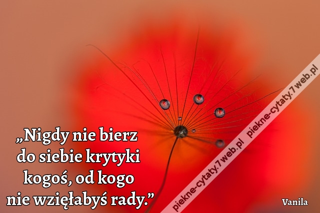 „Nigdy nie bierz do siebie krytyki kogoś, od kogo nie wzięłabyś rady.”