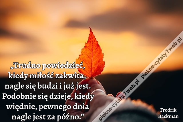 „Trudno powiedzieć, kiedy miłość zakwita, nagle się budzi i już jest. Podobnie się dzieje, kiedy więdnie, pewnego dnia nagle jest za późno.”