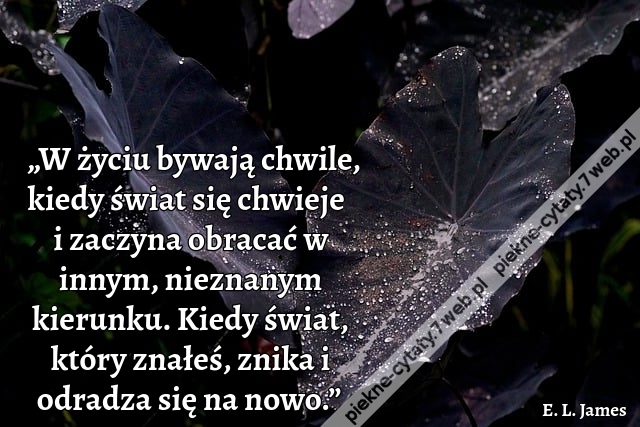 „W życiu bywają chwile, kiedy świat się chwieje i zaczyna obracać w innym, nieznanym kierunku. Kiedy świat, który znałeś, znika i odradza się na nowo.”