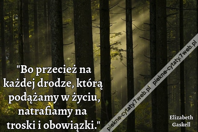 Bo przecież na każdej drodze, którą podążamy w życiu, natrafiamy na troski i obowiązki.