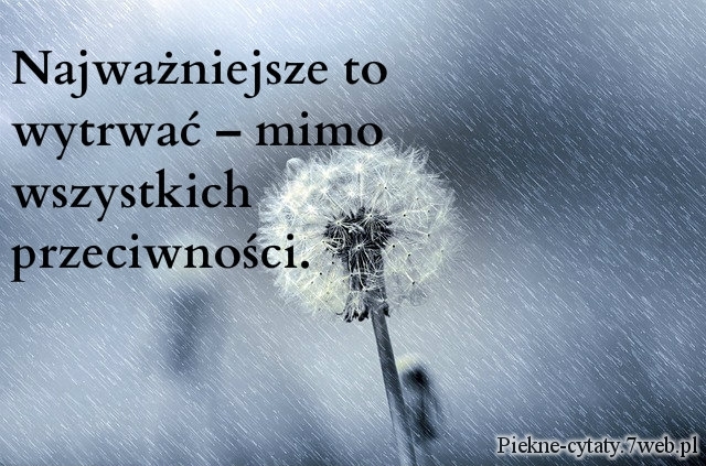 Najważniejsze to wytrwać – mimo wszystkich przeciwności.