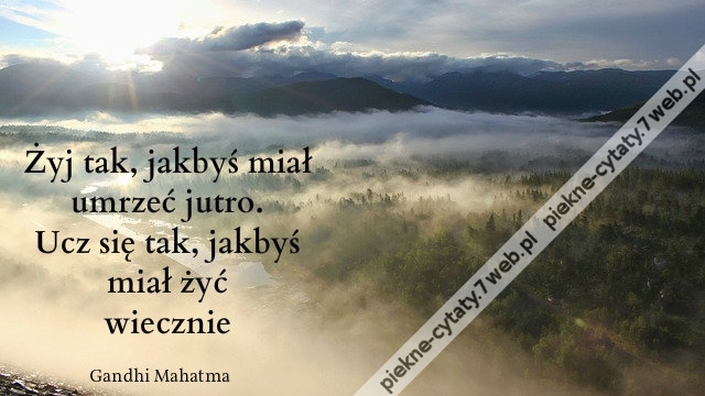 Żyj tak, jakbyś miał umrzeć jutro. Ucz się tak, jakbyś miał żyć wiecznie