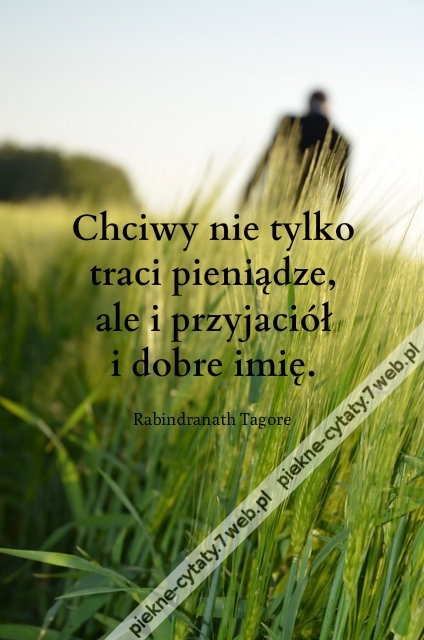 Chciwy nie tylko traci pieniądze ...
